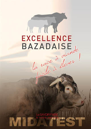 Midatest : couverture du catalogue Bazadaise, réalisé par DUOdesign