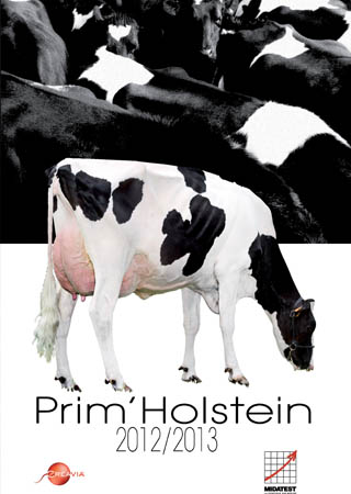 Midatest : couverture du catalogue Prim'Holstein 2012-2013, réalisé par DUOdesign